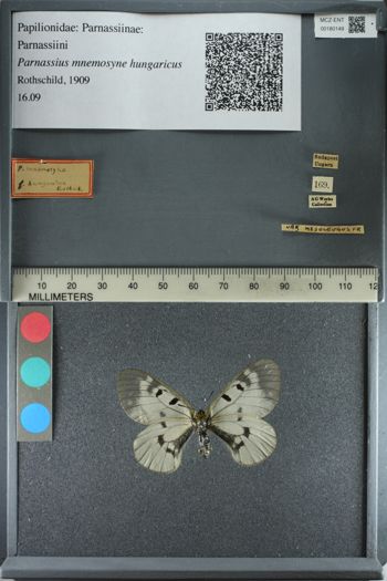 Media type: image;   Entomology 180149